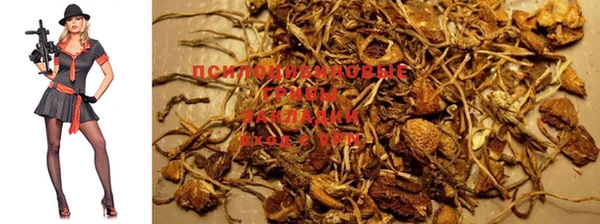 марки lsd Надым