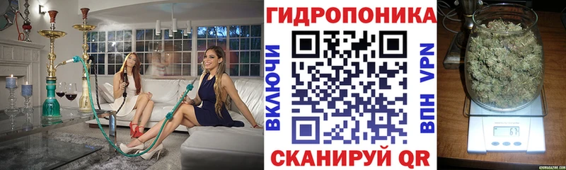hydra зеркало  Городище  Шишки марихуана Amnesia 